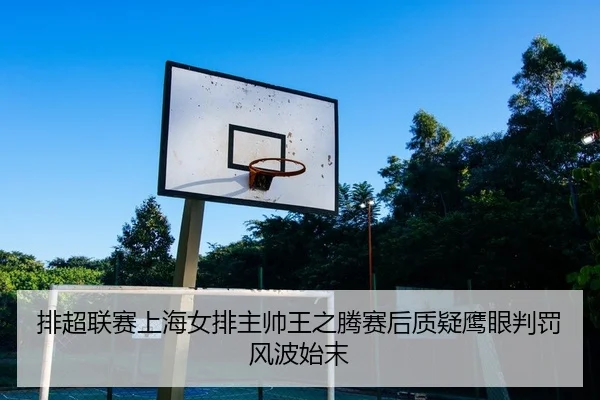 排超联赛上海女排主帅王之腾赛后质疑鹰眼判罚风波始末